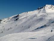 Tracce nella neve fresca