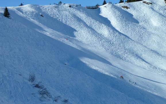 Comprensori sciistici per sciatori esperti e freeriding Naturparkregion Reutte – Sciatori esperti, freerider Hahnenkamm - Höfen/Reutte