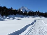 Pista d'altura "La Muntagnarda"