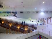 Vista su Snow City Egypt