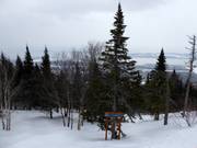 Discese forestali disboscate al Mont-Sainte-Anne