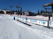 D Magic carpet - Tapis roulant/Tappeto Magico