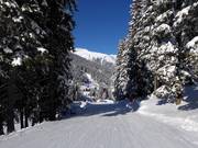 Facile discesa a valle verso Gargellen