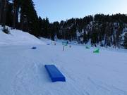 Piccoli ostacoli al tappeto Bambi