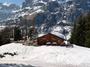 Suggerimento su Rifugi Restaurant Weidstübli