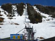 International - Skilift a piattello