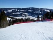 Parte inferiore della discesa Olympia