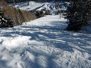 Pendio di neve fresca sotto l'Alp Pradame