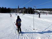 Mieszko S1 (M4) - Skilift a piattello