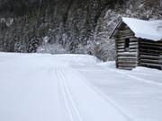 Pista da fondo nell'Angertal