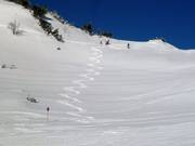 Escursione nella neve fresca