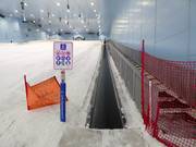 Ski Egypt 3 - Tapis roulant/Tappeto Magico