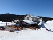 Suggerimento su ristorazione Osteria Coe