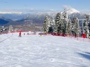 Pista principianti Campo Scuola Cermis