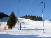 Irenka (G4) - Skilift a piattello