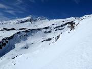 Terreno estremo Amphitheatre