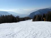 Pista Pragrant n. 11