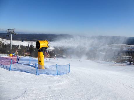 Sicurezza neve Polonia – Sicurezza neve Zieleniec