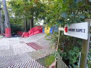 Pista principianti Nursery Slope