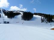 Vista sulle piste Wishbone e Jersey Cream Road