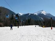 Discesa a valle molto facile Ski road №1