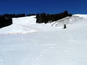 Facile discesa Weiherkopf