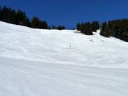 Pista difficile Weiherkopf FIS discesa uomini