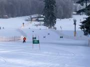 Slalom con cronometraggio