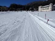 Eggerfeld - Manovia/Babylift a fune bassa