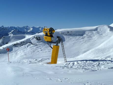 Sicurezza neve Meilenweiss – Sicurezza neve Damüls Mellau