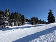 Pista facile Seehof