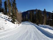 Discesa a valle n. 1 verso Sillian