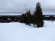 L23 Kajan - Skilift a piattello