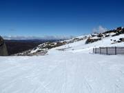 Pista di collegamento Conrod Straight