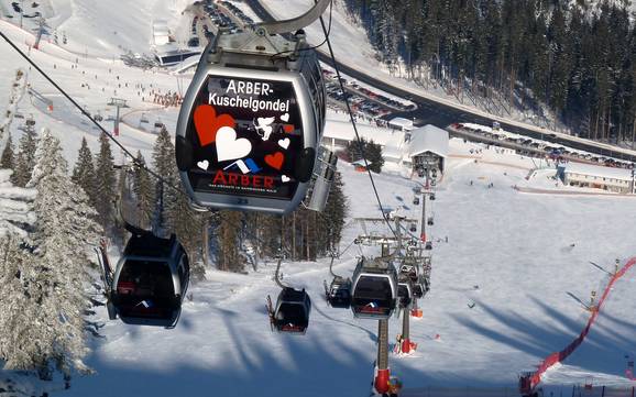 Zwieseler Winkel: Migliori impianti di risalita – Impianti di risalita Arber