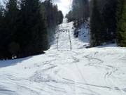 Gelbhansekopflift - Skilift con T-bar/ancora