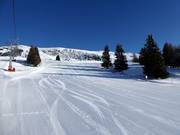 Preparazione perfetta delle piste allo Zettersfeld