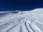 Tracce nella neve fresca