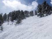 Terreno impegnativo presso Powderhorn Cirque