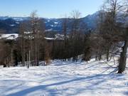 Tracce nella neve fresca al Götschenkopf