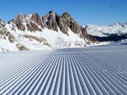 Fresche tracce nella neve