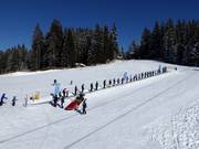 Skiförderband Mittelstation Koglmoos - Tapis roulant/Tappeto Magico