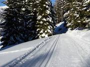 Pista panoramica da fondo al Kristberg