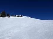 Discesa Wildkogelbahn Berg-Mitte
