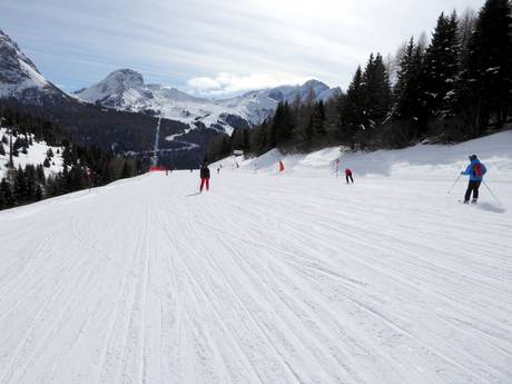 Offerta di piste Val di Fassa – Offerta di piste Belvedere/Col Rodella/Ciampac/Buffaure – Canazei/Campitello/Alba/Pozza di Fassa