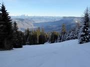 Pista di media difficoltà Rennstrecke