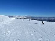 Pista molto facile Skyline