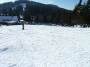 Preparazione delle piste