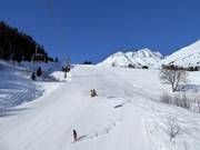 Discesa a valle n. 47 Dieni