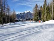 Discesa a valle (n. 1)